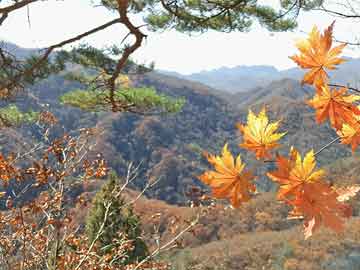 五指山市政府办公室人事任命，新一轮城市力量布局启动