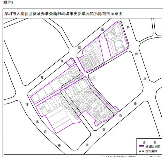 大盘村委会未来发展规划蓝图，迈向新时代的乡村振兴之路