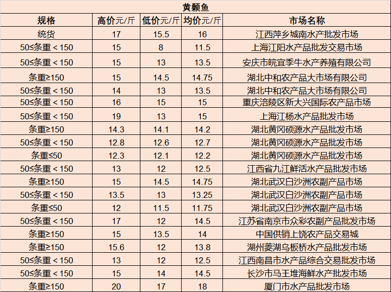 喀什地区市国家税务局最新项目概览与动态