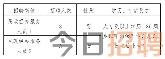 东城区民政局最新招聘信息全面解析