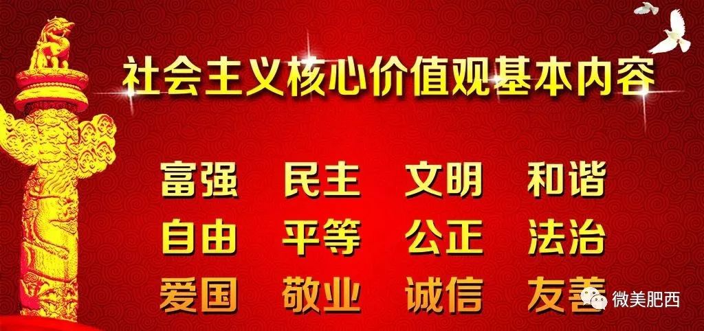 肥西县科技局最新新闻动态深度解析报告