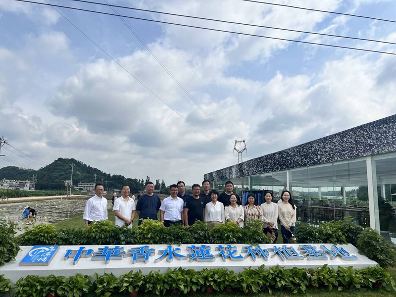 五龙乡新项目，乡村璀璨明珠引领发展之路