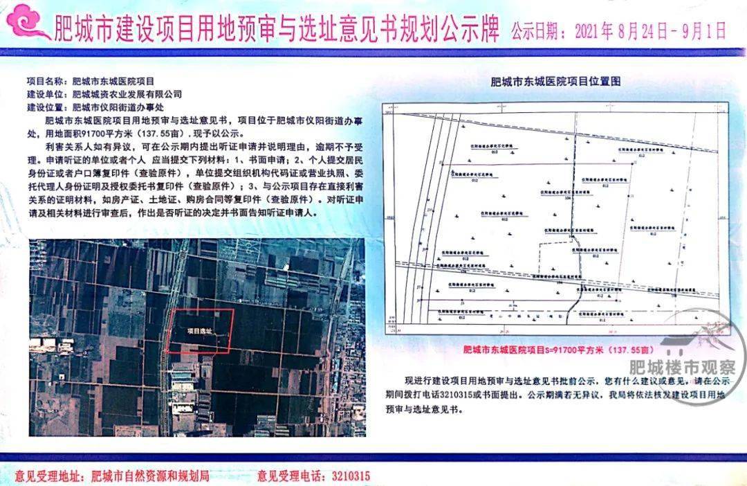 肥城市小学最新发展规划