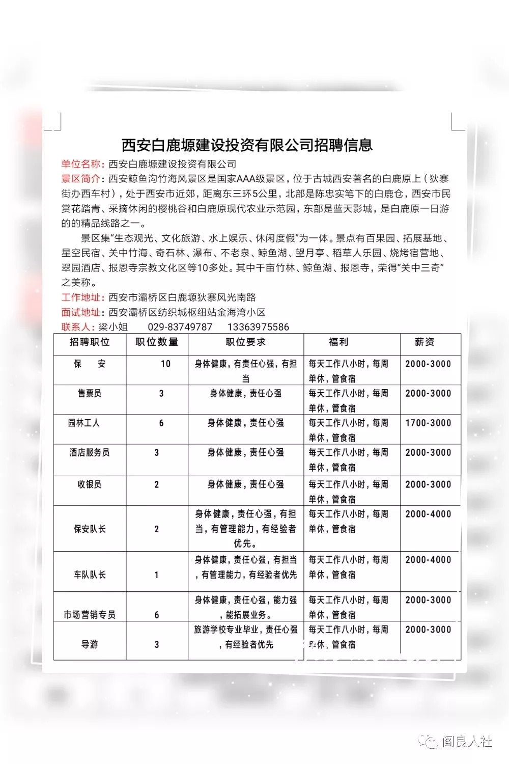 西安区财政局最新招聘信息详解