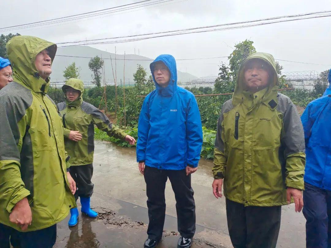 定塘镇领导团队引领地方发展新篇章